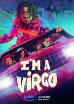 Watch I'm a Virgo Sockshare