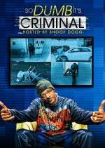 Watch So Dumb It's Criminal Sockshare