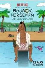 Watch BoJack Horseman Sockshare