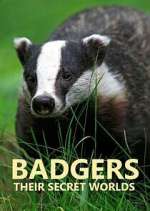 Watch Badgers: Their Secret Worlds Sockshare