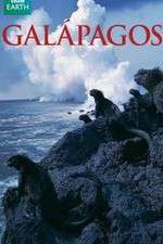 Watch Galapagos Sockshare