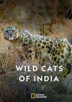Watch Wild Cats of India Sockshare