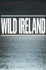 Watch Wild Ireland Sockshare
