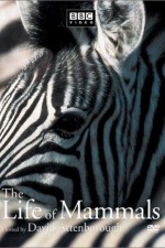 Watch The Life of Mammals Sockshare