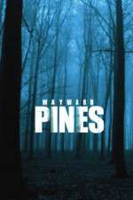Watch Wayward Pines Sockshare