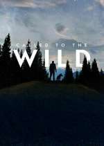 Watch Called to the Wild Sockshare