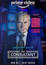 Watch The Consultant Sockshare