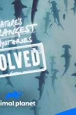 Watch Nature\'s Strangest Mysteries: Solved Sockshare