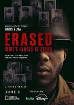 Watch Erased: WW2's Heroes of Color Sockshare