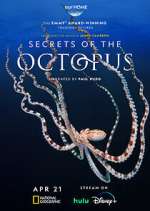 Secrets of the Octopus sockshare