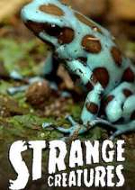 Watch Strange Creatures Sockshare