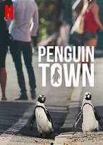 Watch Penguin Town Sockshare