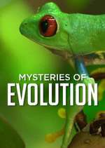 Watch Mysteries of Evolution Sockshare