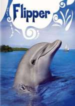 Watch Flipper Sockshare