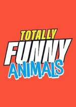 Watch Totally Funny Animals Sockshare