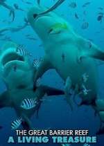 Watch Great Barrier Reef: A Living Treasure Sockshare