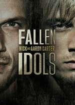 Watch Fallen Idols: Nick and Aaron Carter Sockshare