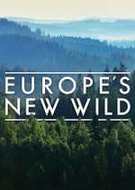 Watch Europe's New Wild Sockshare