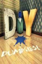 Watch DIY Dummies Sockshare
