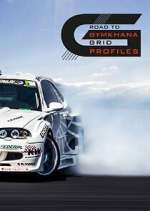 Watch Road to Gymkhana Grid Profiles Sockshare