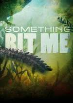Watch Something Bit Me! Sockshare