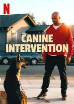 Watch Canine Intervention Sockshare