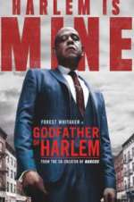Godfather of Harlem sockshare