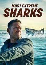Watch Most Extreme Sharks Sockshare