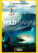 Watch Wild Hawaii Sockshare