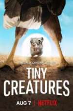 Watch Tiny Creatures Sockshare