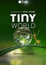 Watch Tiny World Sockshare