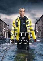 Watch After the Flood Sockshare