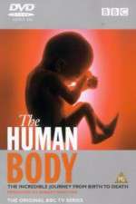 Watch The Human Body Sockshare