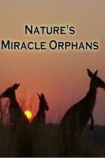 Watch Nature's Miracle Orphans Sockshare