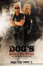 Watch Dog\'s Most Wanted Sockshare