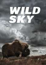 Watch Wild Sky Sockshare