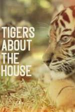 Watch Tigers About the House Sockshare
