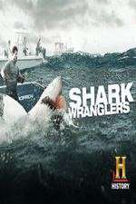 Watch Shark Wranglers Sockshare