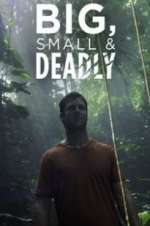 Watch Big, Small & Deadly Sockshare