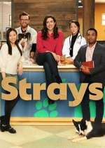 Watch Strays Sockshare